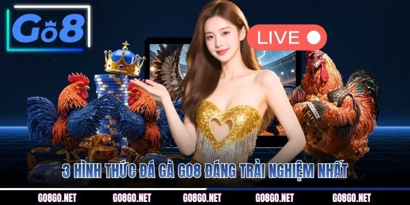 3 hình thức đá gà GO8 đáng trải nghiệm nhất